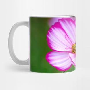 pink cosmosflowers on a flower meadow, bloom, floral Mug